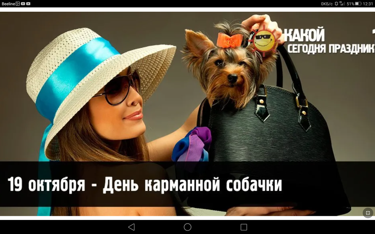 Screenshot_2023-10-19-12-31-26