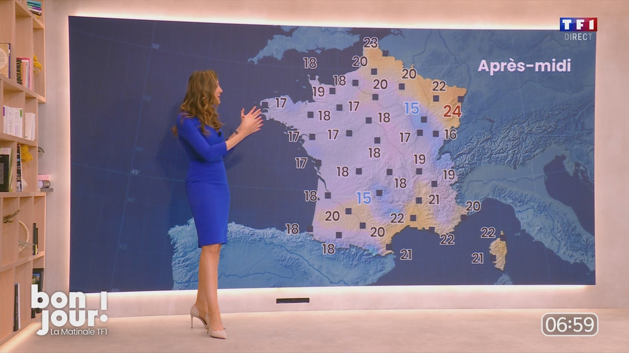 Bonjour Daniela 120525.mp4_snapshot_00.09.40.738