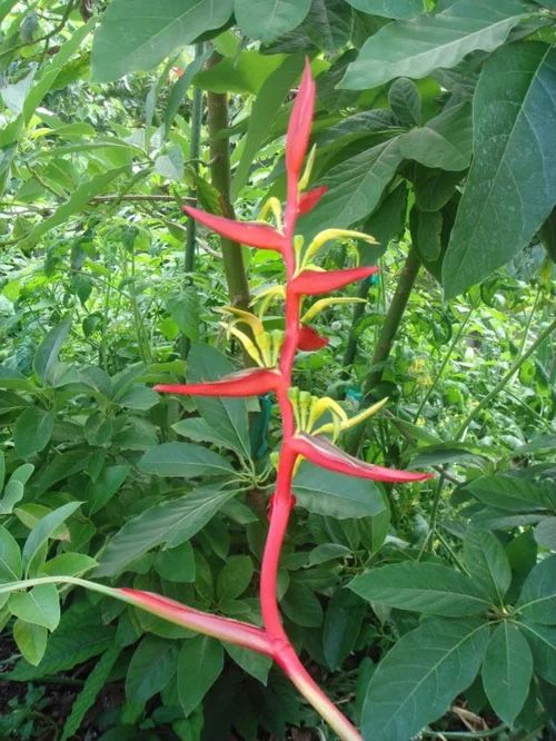 c2ecbc2c9fb54a88a3b2f4ea47bb5039