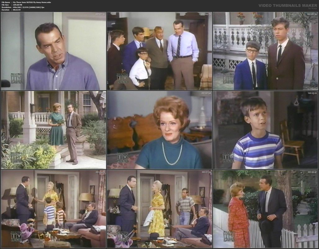 My Three Sons S07E02 Fly Away Home.mkv