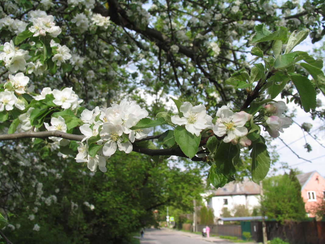 29 апреля 2024 042