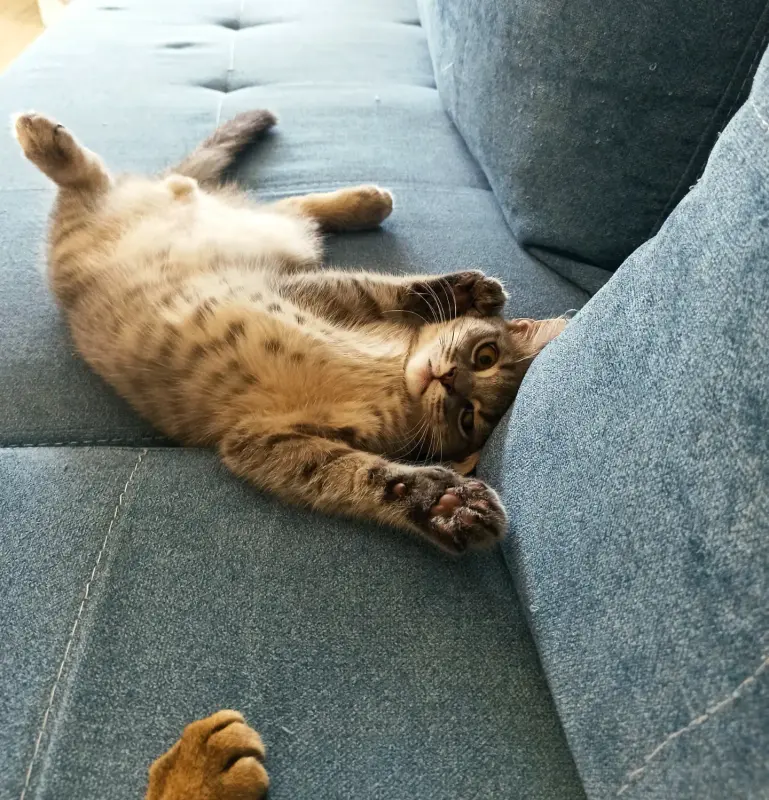 IMG_20230821_182822_602