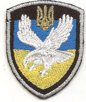 image (1)