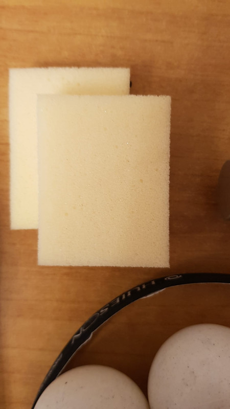 627055833 122301469220216183 1013990033317551996 n