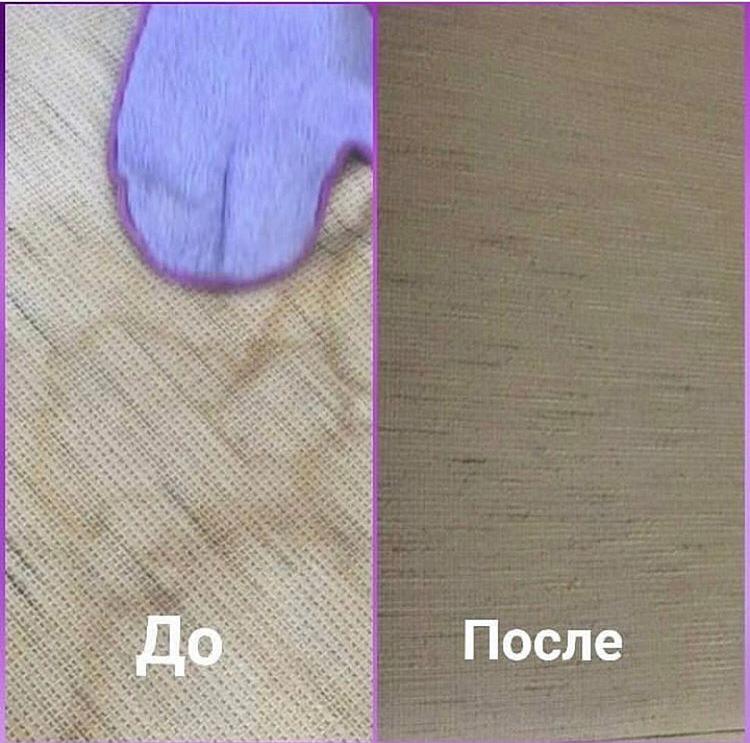 1BB2B626-E6BB-4468-B782-7C2C7BDB955D