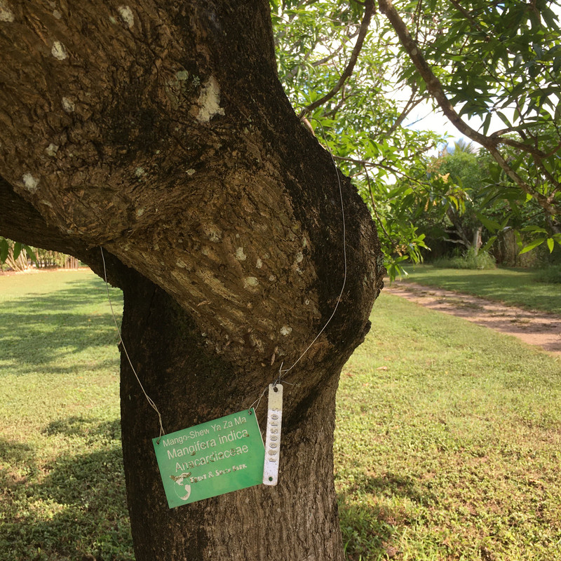 6E823C01-BF39-4C32-8761-473A27E09E2D