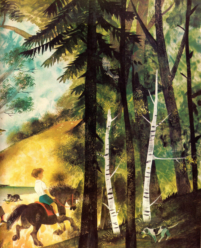 5318639558_692cd97a7f_o