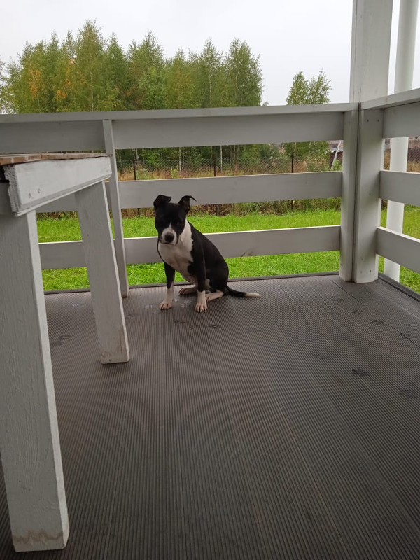 791CA27D-954D-4B71-90B4-D55D3A8A42C8