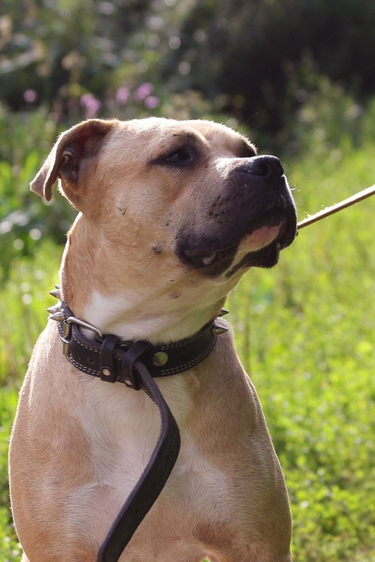 O4vFskkAS9dsqFIQjgOHPWN0oEcLRc421mvdgRHe90iuV-LQu9MGIxKA2G4bHcj_DYxDQIC2