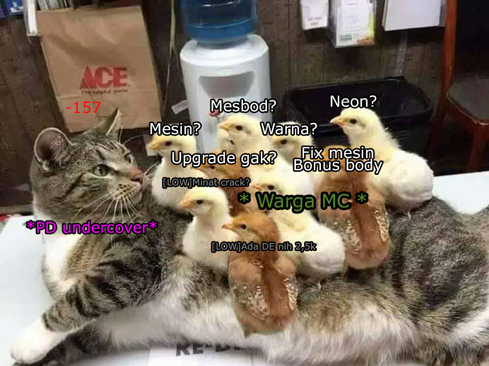 meme-1.jpg