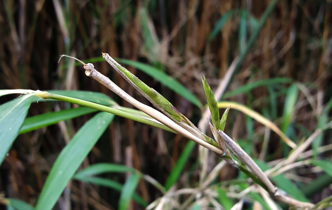 23-02-16_03Parc Mery