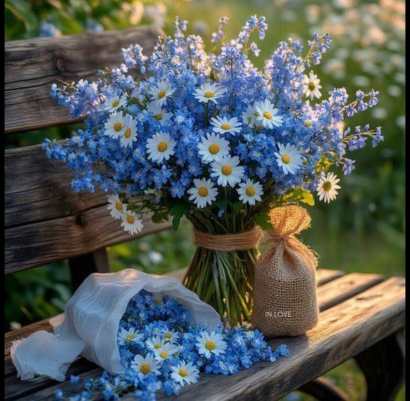 Screenshot_20250925_221825_Pinterest