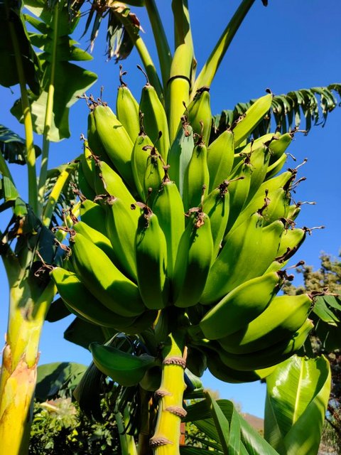 A0D0CE7B-7064-4BE3-BBC0-019585F5B9DC