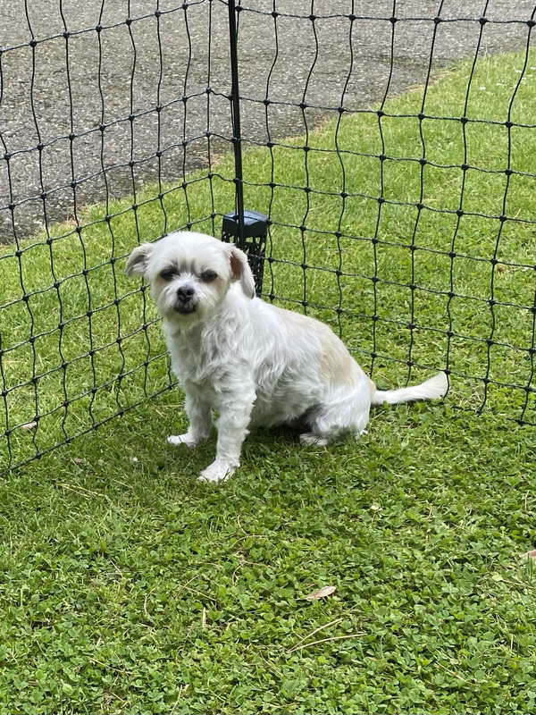 uuid=A7B5CA46-948C-4ED5-BB33-7D9B4DAC1345&code=001&library=1&type=1&mode=1&loc=true&cap=true