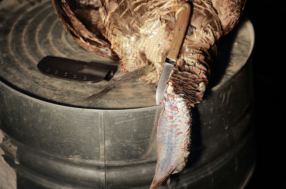 Screen Shot 2025-06-11 at 1.50.12 PM