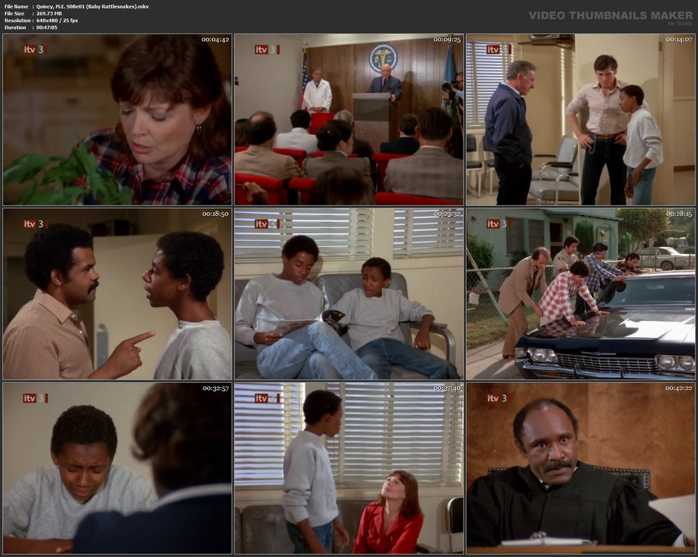 Quincy, M.E. S08e01 (Baby Rattlesnakes).mkv