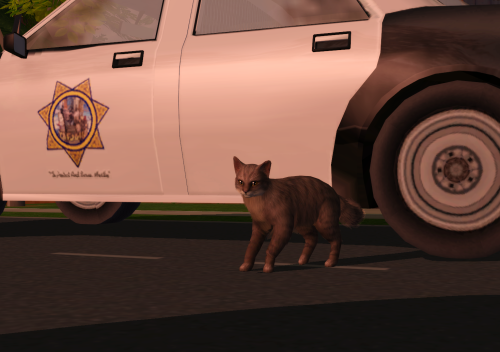 Sims2-EP9-RPC-2021-11-26-22-51-21-71