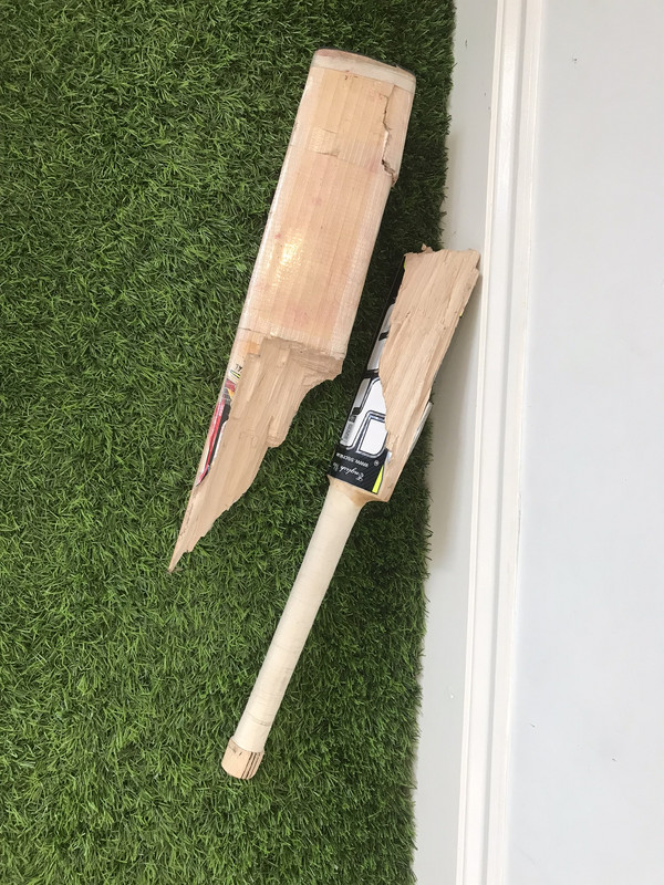 169E0207-BB7B-43DC-8C67-7997E01F938E