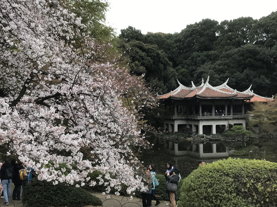 AAC715BC-8323-4DC7-B06D-ECABB13C9315