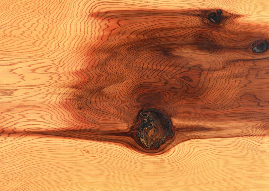 wood-texture-3dsmax (523)