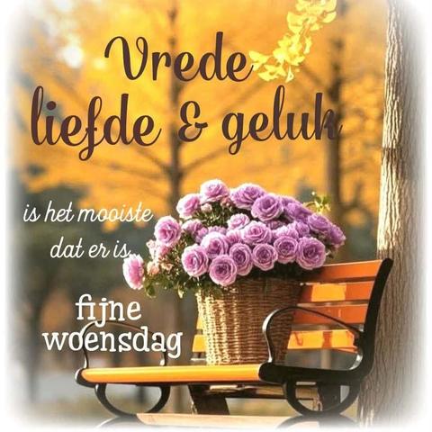 woensdag