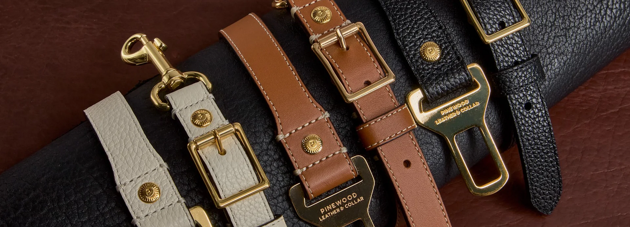 Pinewood Leather & Collar