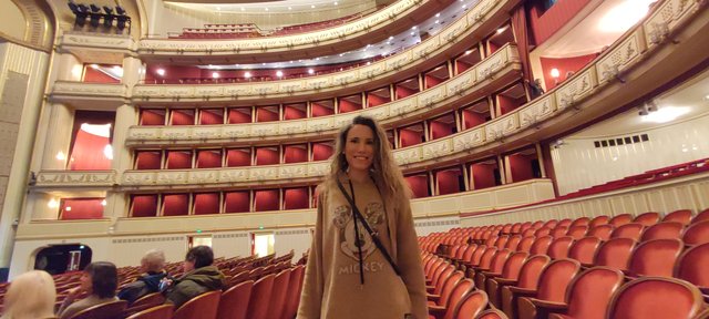 Viena - Bratislava - Praga, Navidad 2024 - Blogs de Europa Central - Mercados Navideños de Viena y Catedral (27)