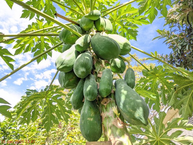 [Image: PXL-20210115-184143614.jpg]