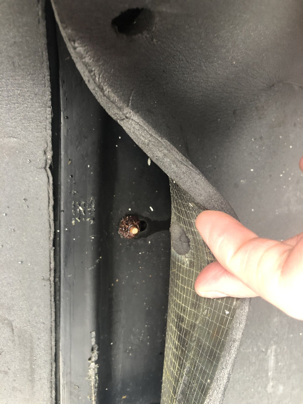 1B4A9D34-5885-41E1-ABA3-A291F82A90BC