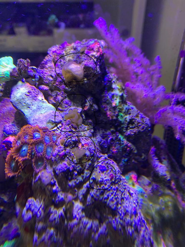 AECDCA81-EA04-4115-B7B2-3106B499BC53