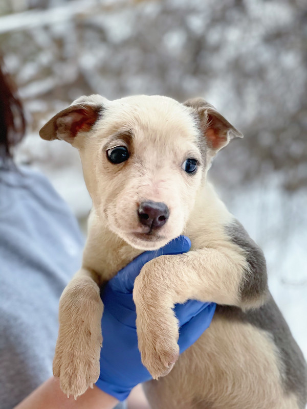 BD3D586D-895F-44FF-A85B-3662123EA3D5