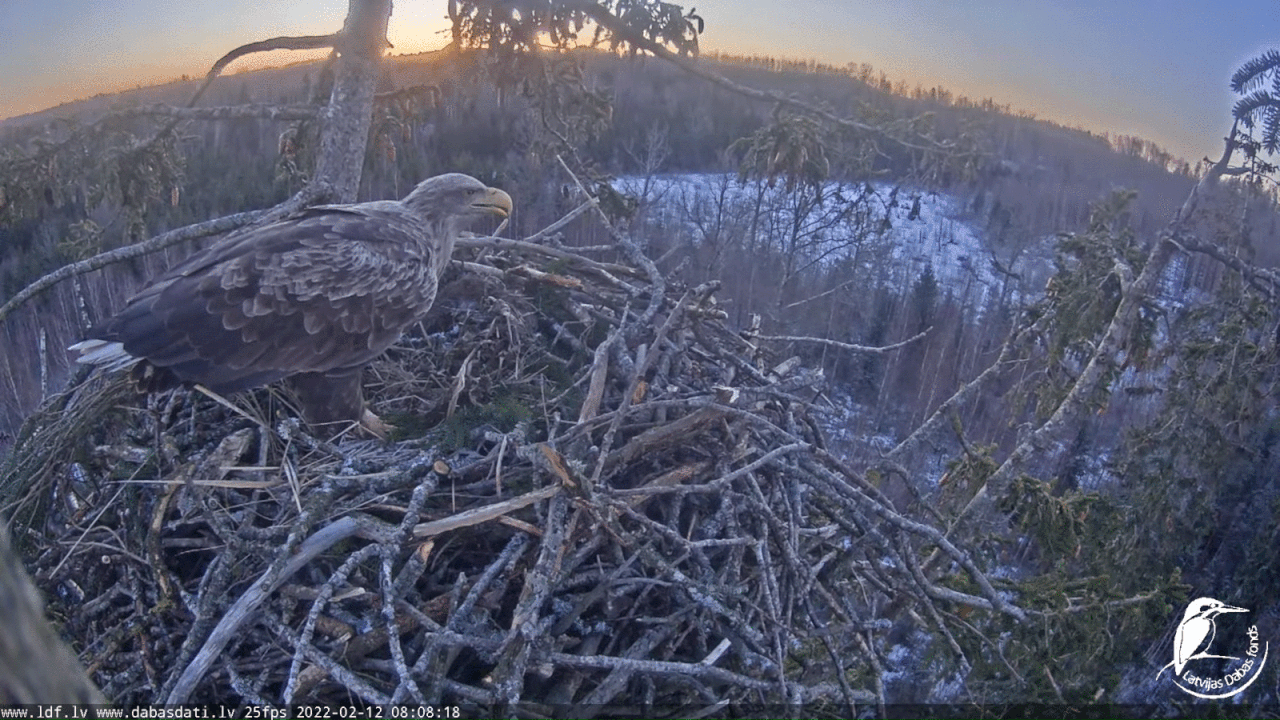 Webp.net-gifmaker (3)