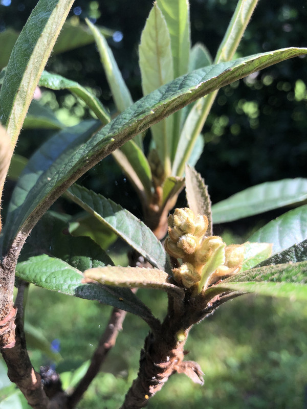 243AF444-82CE-4358-AEE0-E80A13579902