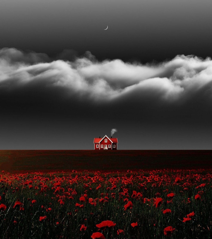 Screenshot_20240505_195024_Threads