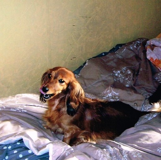 [Image: ERINE-1-Copie.jpg]