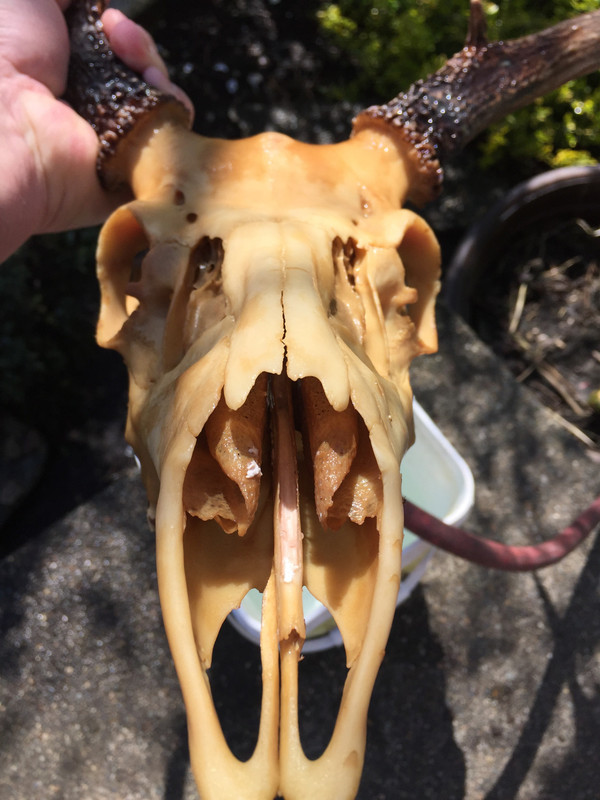 FC6A1408-8E69-4E36-9CD5-D34DA89932A6