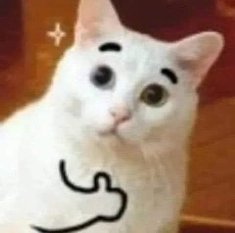 365781900-1472253013577320-6864760158853902520-n.jpg