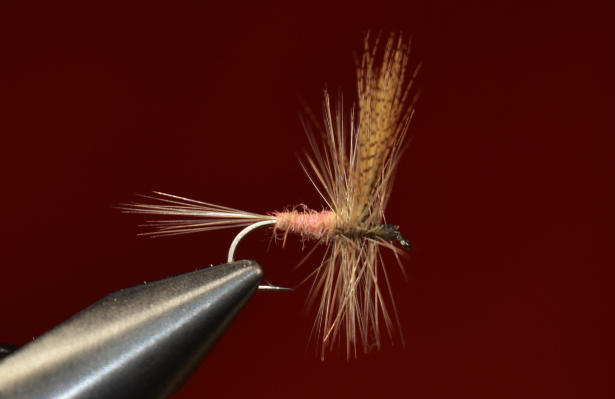 Pink Enhanced Hendrickson