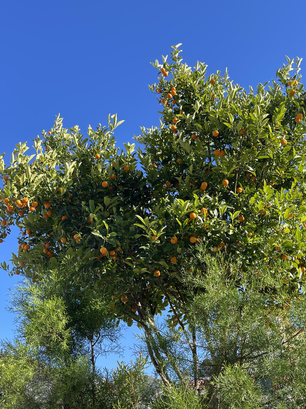 70DE398E-8D8C-45E4-BEE3-CBC33D5053E8