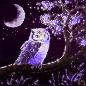 GIF 20260111 194705 565