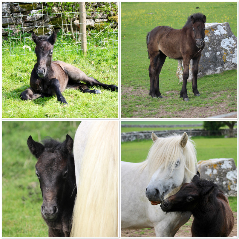 9B19F649-8631-47F6-AD78-CE27612AF67C