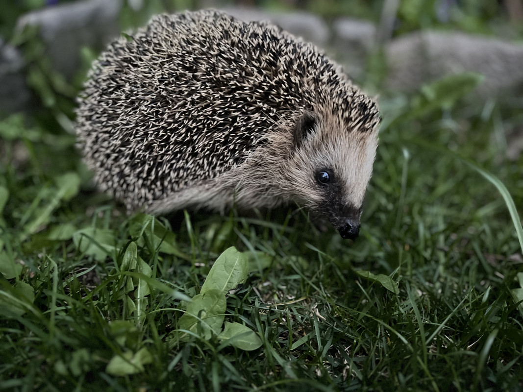 5655B424-31F1-449E-9BF9-5AED96FF19AA