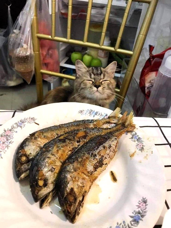 65.jpg