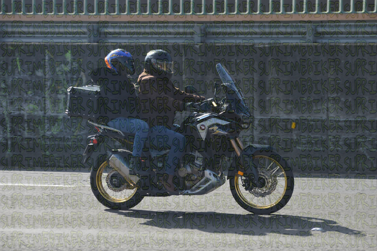DSC 0170