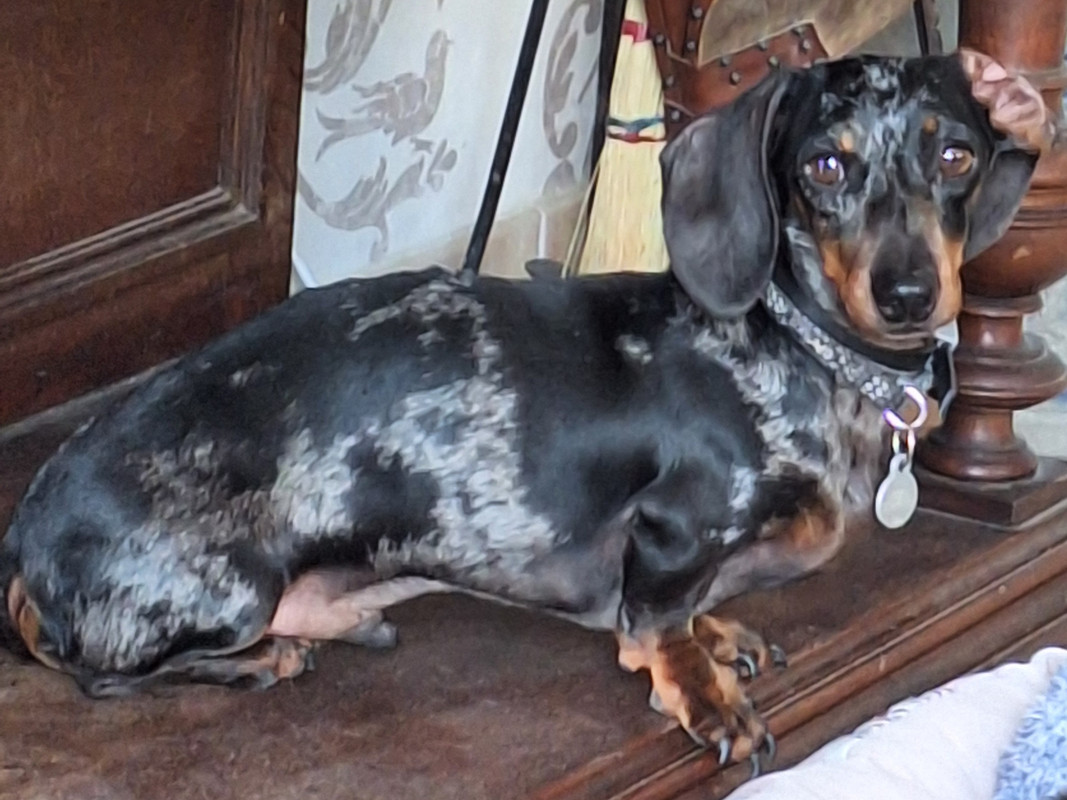 [Image: 20240404-152908.jpg]