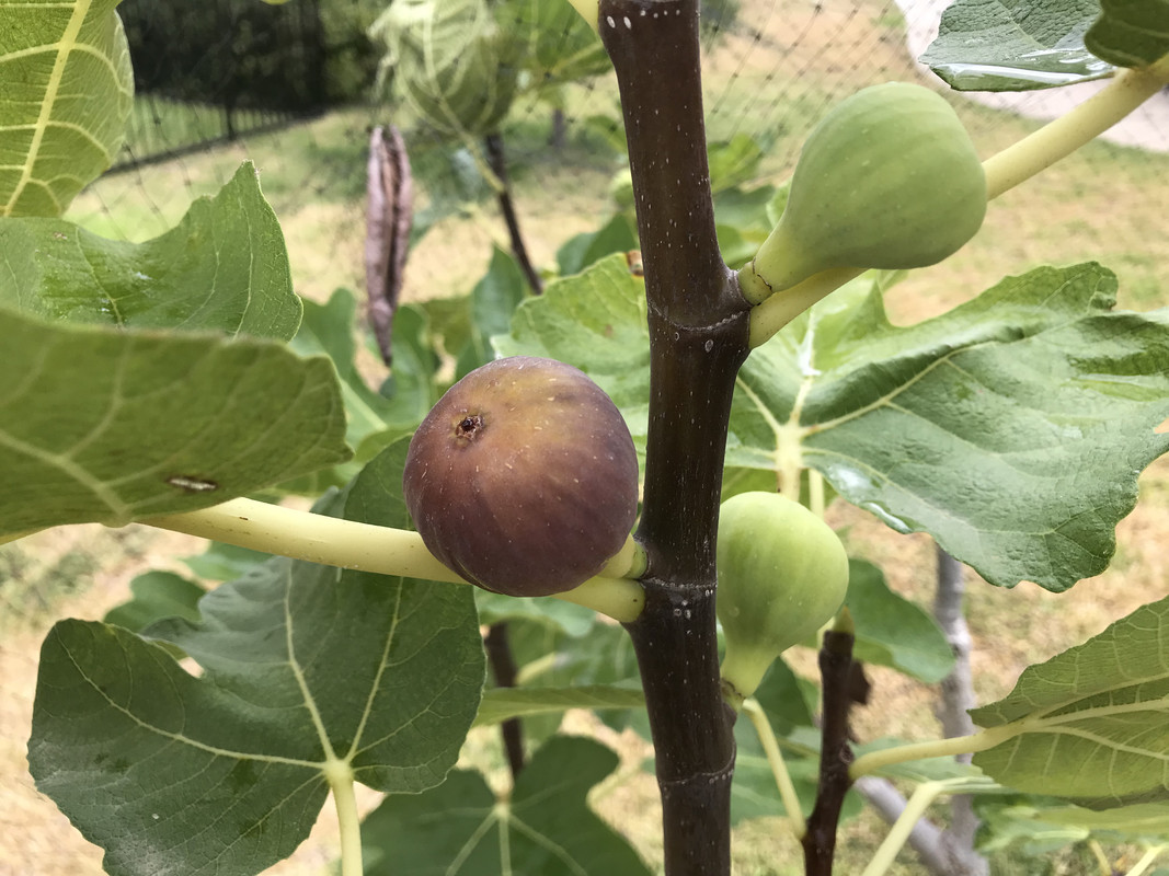 5874CEC0-8153-416E-A790-5F3D6103F7E5