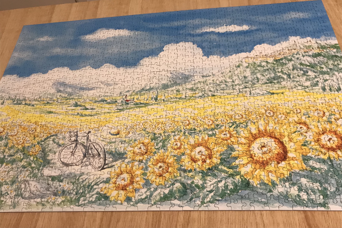 FE9FAA77-BAE9-48BF-9044-C1D824F7C81D