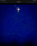 IMG-8241