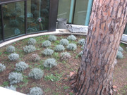 август - италия 207 (4)