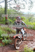 IMG-0338